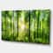 Designart - Forest with Rays of Sun Panorama - Landscape Art Print Canvas